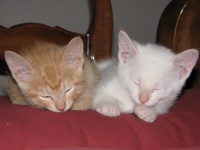 20100206 452.JPG